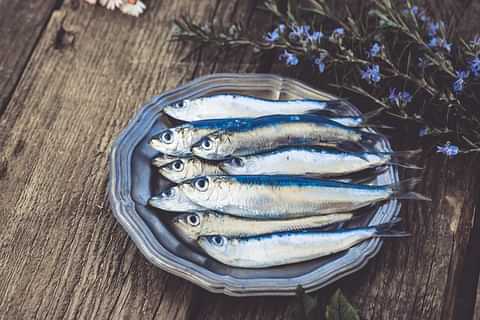 228 fish PDJRLPZ