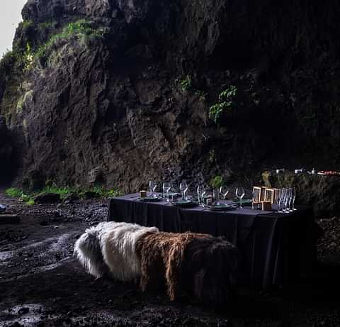 Wild Dining - Cave - Setup