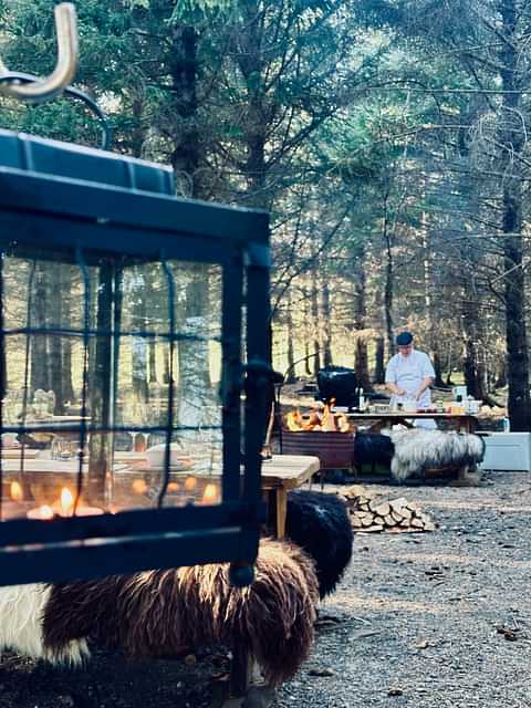 Wild Dining - Haukadalur - Chef