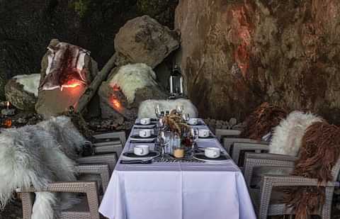 Wild Dining - Setup