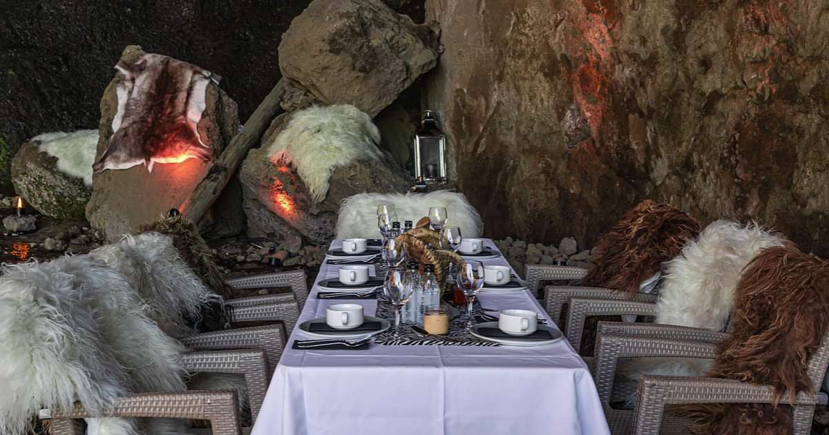 Wild Dining Experience