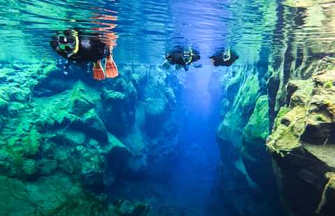 Arctic Adventures snorkeling silfra thingvellir 3