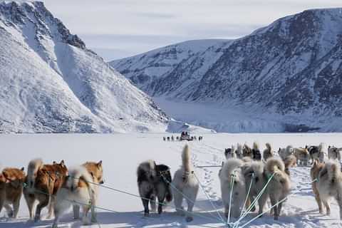 Dog sledding greenland 2