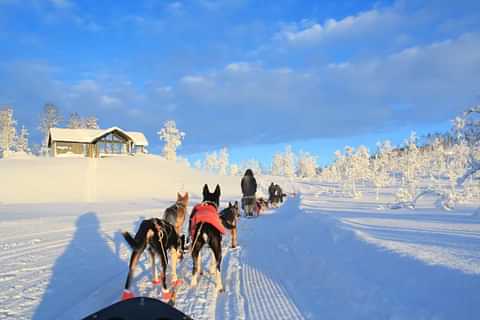 Fjellfarer dogsledding 1