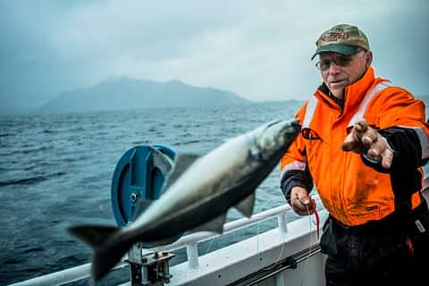 Catch of the day in Lofoten Thomas Rasmus Skaug Visit Norway com