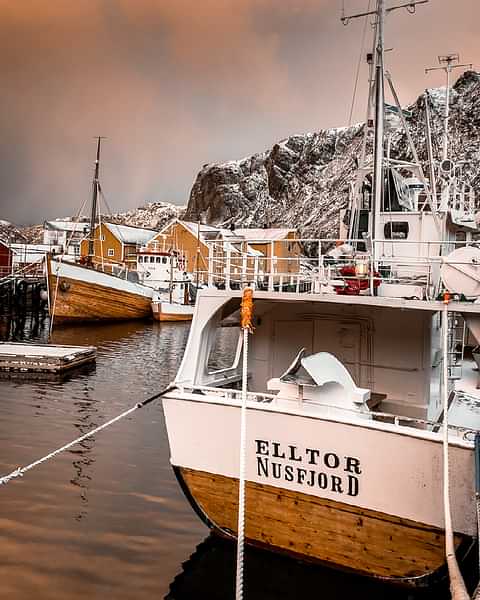 Elltor Nusfjord B Oat