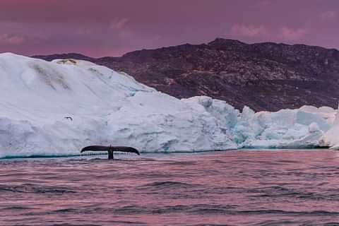 Icefiord RAISFOTO 7864 scaled